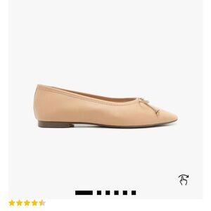 Schutz Arisa nude flats - NWT